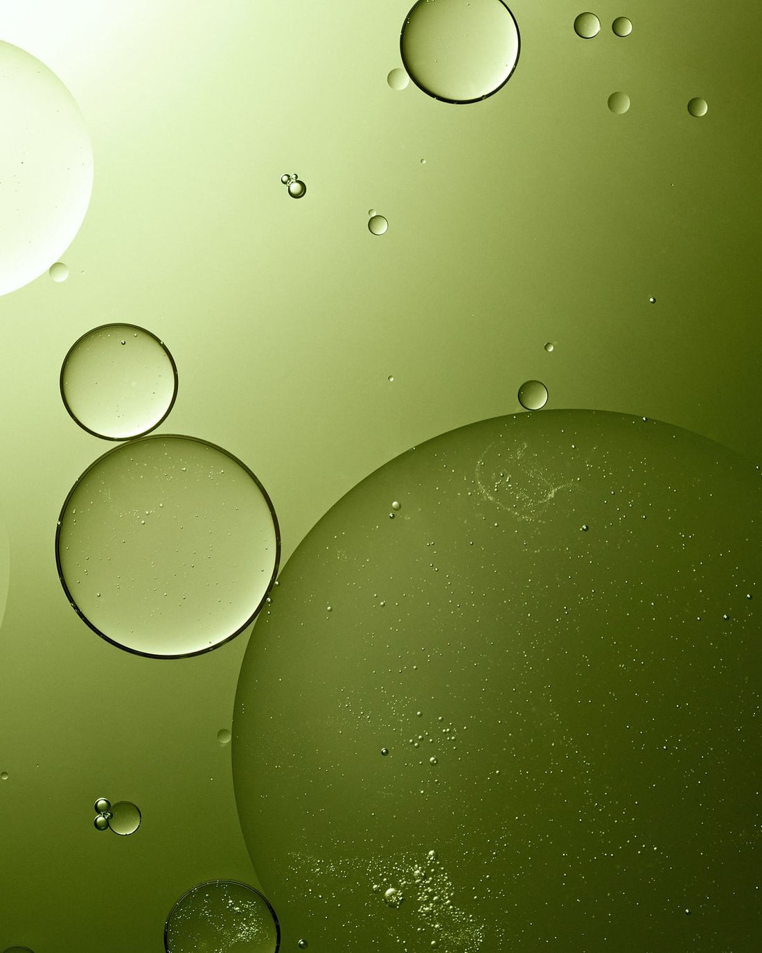 Thé vert et peau sensible : ce que dit la science