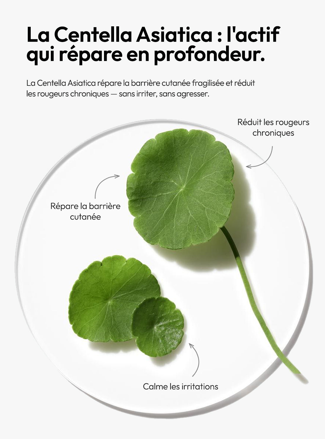 Duo Quotidien